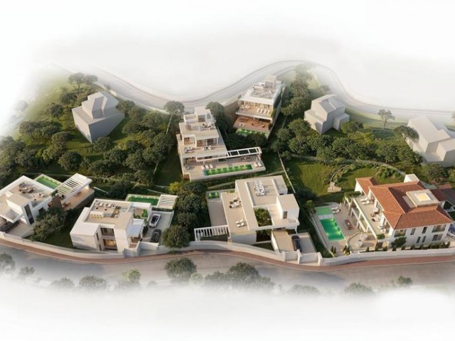  Plot in El Rosario