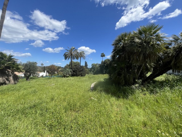 Parcelle, Sotogrande Costa, R5492746