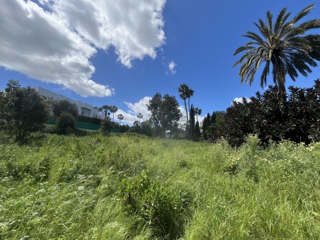 Parcelle, Sotogrande Costa, R5492746