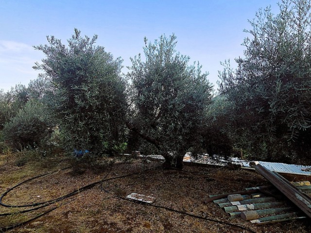 Villa con 4 Dormitorios  en Ojén