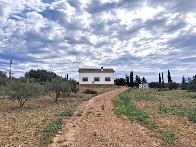 Villa avec 4 Chambres  à Alhaurín el Grande
